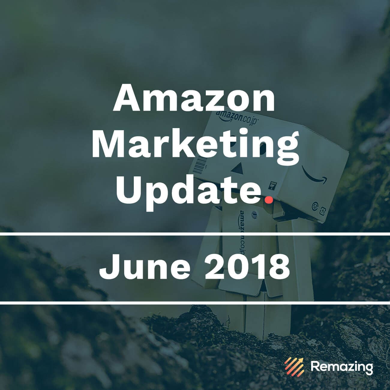 Monthly Amazon Update – June 2018