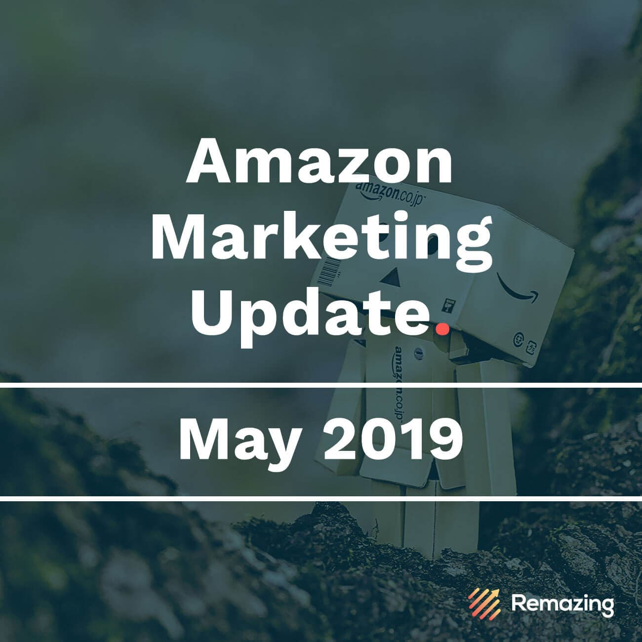 Monthly Amazon Update – May 2019